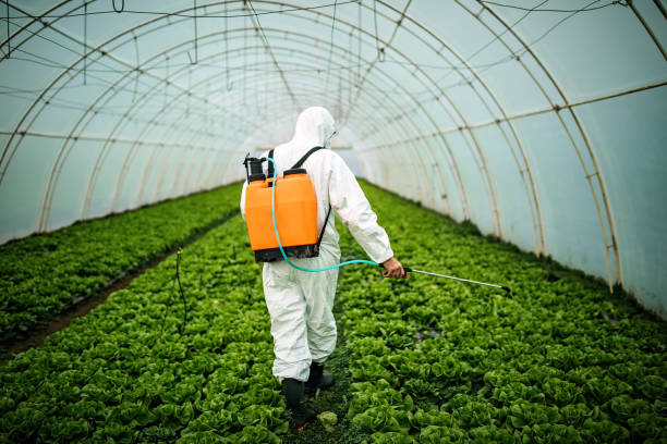 Best Emergency Pest Control  in Waelder, TX