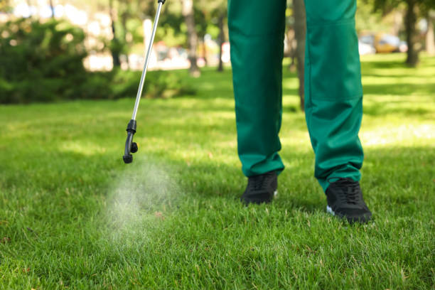 Best Pest Control for Restaurants  in Waelder, TX
