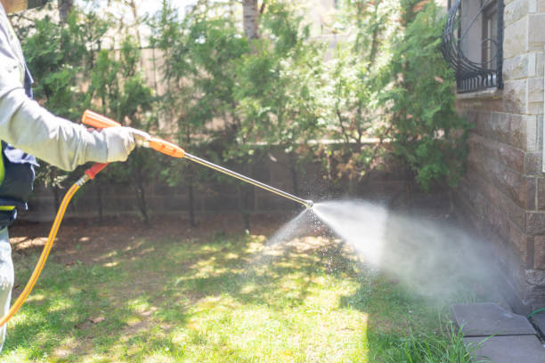 Reliable Waelder, TX Pest Control Solutions