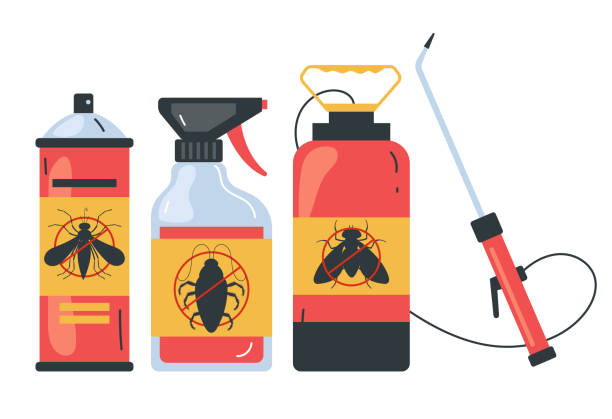 Best Bed Bug Extermination  in Waelder, TX