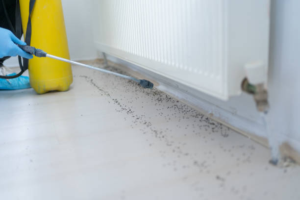 Best Pest Inspection Near Me  in Waelder, TX