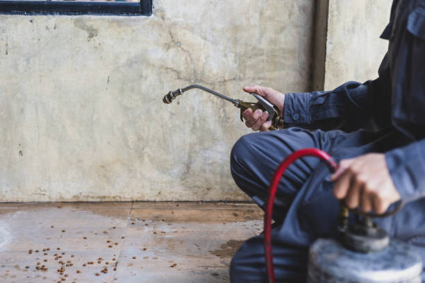 Best Pest Inspection Near Me  in Waelder, TX